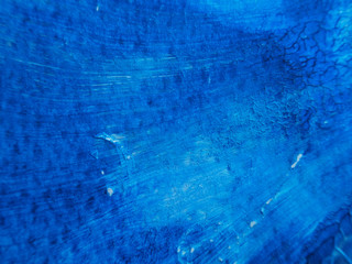 Blue and white acrylic painting texture on white paper background by using rorschach inkblot method.