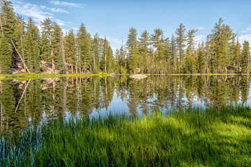Awesome views all around Yosemite National Park in California