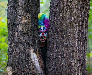 scary clown in a mystical forest © serikbaib