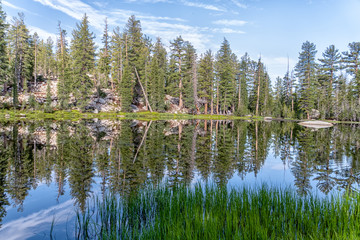 Awesome views all around Yosemite National Park in California