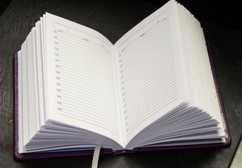 Open clean weekly planner