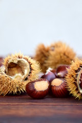 Kastanien mit Kastanienigel - Konzept - Deko - Werbung