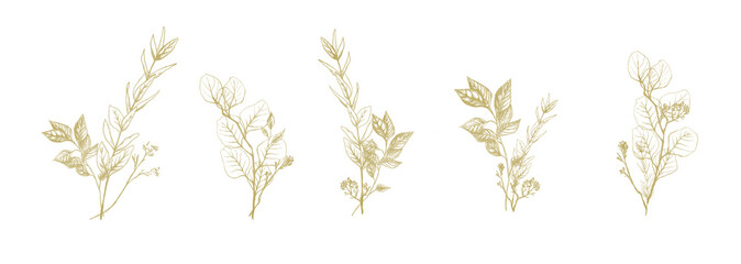 Set of golden floral compositions