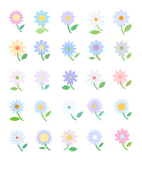 Collection of flowers