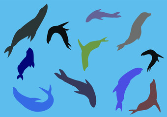 swimming sea lions on a blue background vector eps