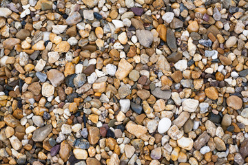 texture of multi-colored stones on the seashore