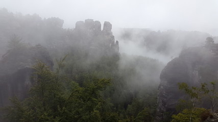 Sächsische Schweiz Felsen im Nebel
