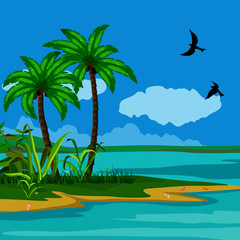 background with a picture of the sea landscape, palm trees, sand and shells