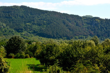 Fototapeta premium Typical landscape in the forests of Transylvania, Romania. Green landscape in the midsummer, in a sunny day