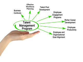 Components of  Talent Management Program