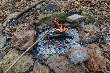 fire and preparation of food in the forest