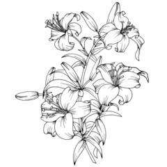 branch with flowers of lilies, black and white pattern
