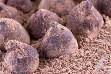Chocolate Truffle.