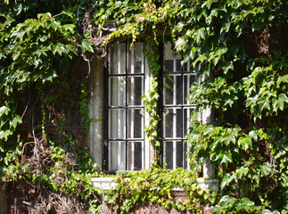 Old closed window of a English house