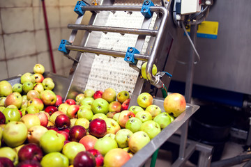 A processing of apples for fresh juice production. Food and healthy drinks