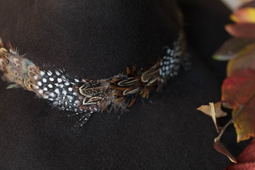 Autumn mood accessories-warm brown wool hat and  leaves which  turn into the warm colors of orange, red, yellow and gold.