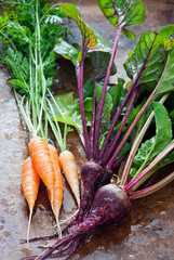 Homegrown organic root vegetables on brown wooden background