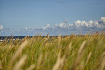 ears of clouds against the shore