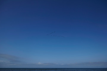 biplane over the Baltic Sea