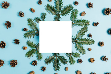 Christmas composition. Tree branches, pine, white frame, acorn on pastel blue background....