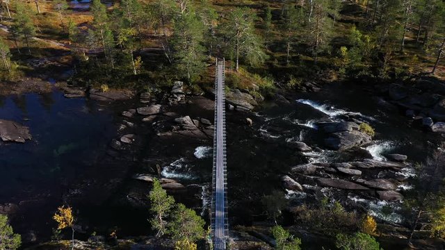 Aerial drone shot as flying over a hikers bridge in the Rago National Park in Norway. Autumn landscape with a fast, rocky river and pine forest. 