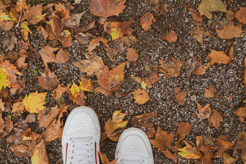 shoes autumn leaves in park