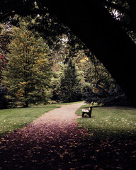 bench in the  park