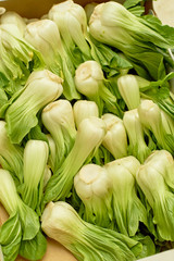 Obraz premium Pak choi - asian cabbage - arranged at the market stall