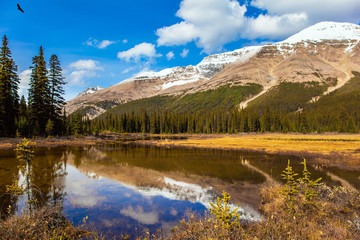 Fototapeta na wymiar The Rockies of Canada