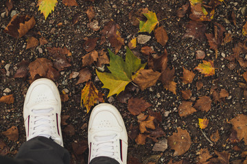 shoes and autumn leaves in park