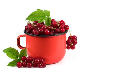 red berries in a red mug on a white background