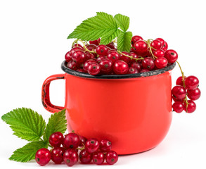 red berries in a red mug on a white background