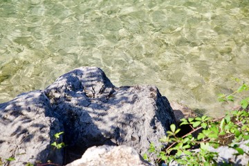  sand under water clean water