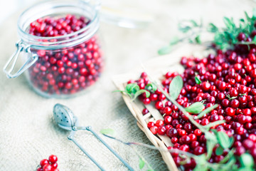 autumn berries on table, lingonberry raw