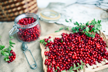 autumn berries on table, lingonberry raw
