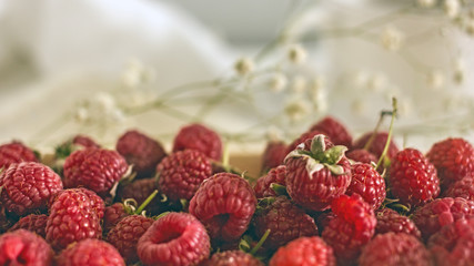 Raspberry close-up on a background of white flowers. Save the space