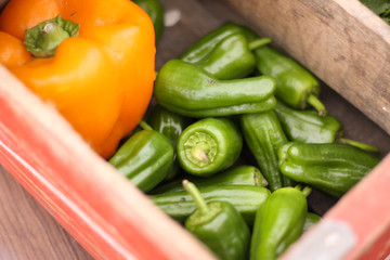 Pimientos 