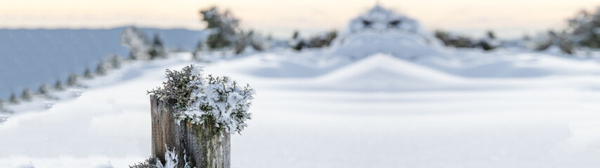 eingeschneiter zugefrorener Holzzaun in atemberaubender Schneelandsschaft - Panorama Winterlandschaft im Schwarzwald winter wonderland