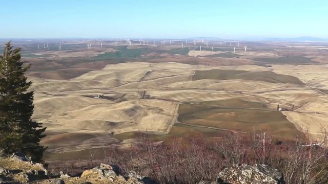 Rolling hills of Steptoe Butte, Washington