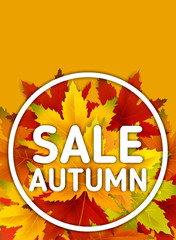 Special Offer Autumn Sale Background Template, with falling bunch of leaves