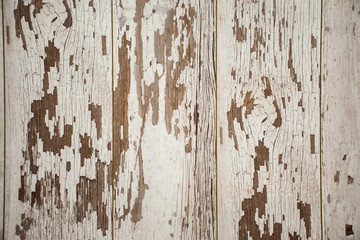 Old wood texture background with white old paint