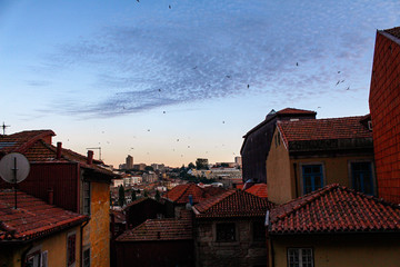 Porto in Portugal colorful old buildings and landmarks with traditional portuguese tiles on the...