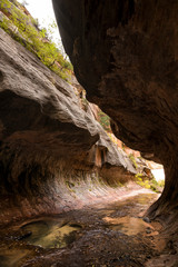 Hiking Trail to the Subway in Zion NP 12