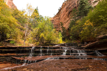 Hiking Trail to the Subway in Zion NP 07