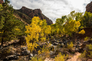 Hiking Trail to the Subway in Zion NP 03