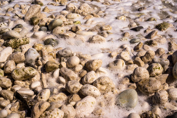 shells on the beach