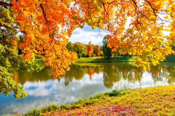 Autumn foliage in Pavlovsky park, Pavlovsk, St. Petersburg, Russia