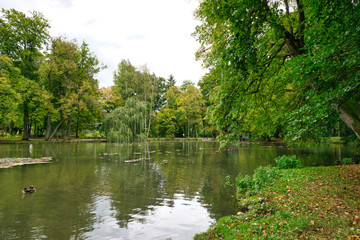 Teich im Kurpark in Bad Aibling, in Oberbayern