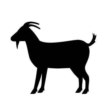 silhouette of a goat. flat vector illustration. animal farms