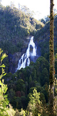 View up the valley to St. Columbus falls. Tasmania.
